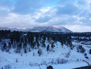 Image post by @nauflagstaff on Instagram