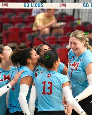 Image post by @lmulionswvb on Instagram