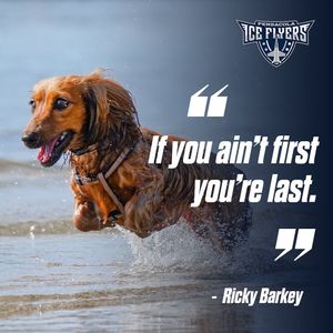 Image post by @pcolaiceflyers on Instagram