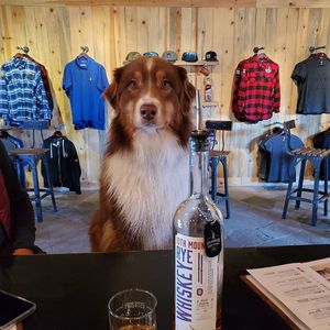 Image post by @10thmtnwhiskey on Instagram