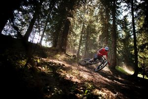 Image post by @foxmtb on Instagram