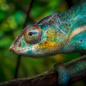 Image post by @discovery on Instagram
