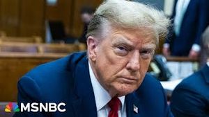 Video post by @msnbc on YouTube