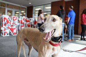 Image post by @uindy on Instagram