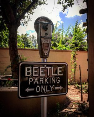 Image post by @brandonmstone on Instagram