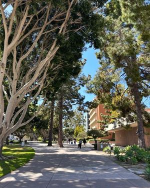 Image post by @ucsblife on Instagram