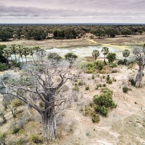 Image post by @chiawasafaris on Instagram