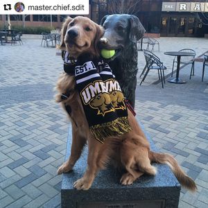 Image post by @umbclife on Instagram