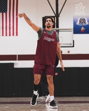 Image post by @molloymbb on Instagram