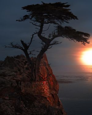 Image post by @pebblebeachresorts on Instagram