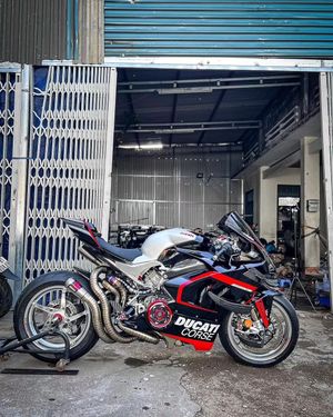 Image post by @panigalers on Instagram