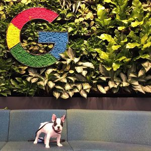 Image post by @google on Instagram