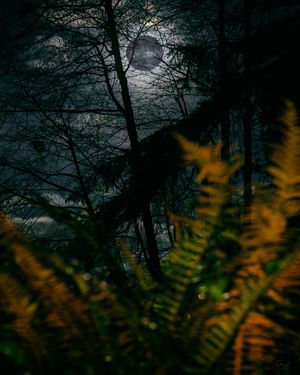 Image post by @amy.kennedy.photos on Instagram