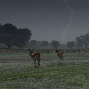 Image post by @discovery on Instagram