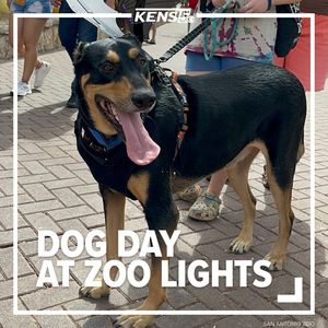 Image post by @kens5 on Instagram