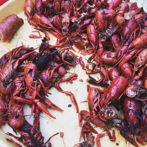 Image post by @lafishfry on Instagram