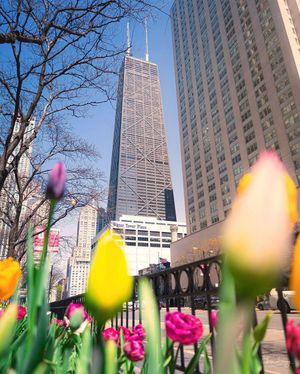 Image post by @360chicago on Instagram