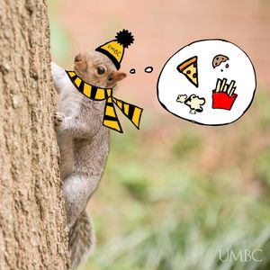 Image post by @umbclife on Instagram