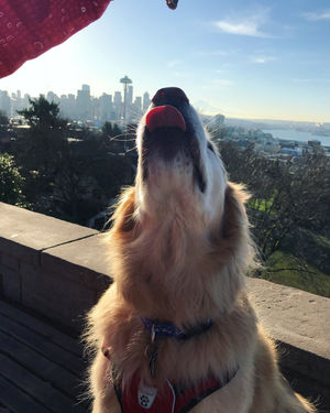 Image post by @amandakl on Instagram