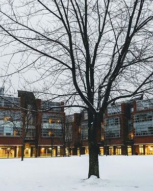 Image post by @ontariotechu on Instagram
