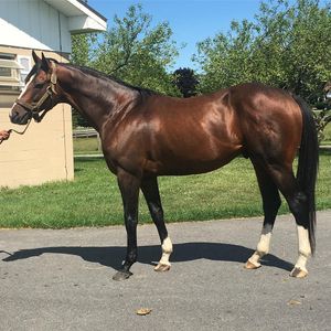 Image post by @spendthriftfarm on Instagram