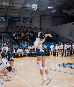 Image post by @ucsc_athrec on Instagram