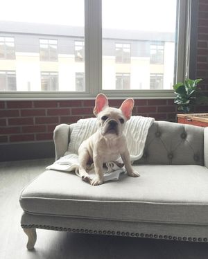 Image post by @emilyroggenburk on Instagram