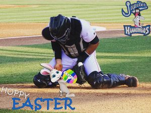 Image post by @gohammerheads on Instagram