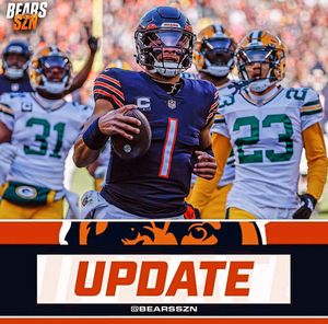 Image post by @bearsszn on Instagram