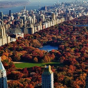 Image post by @nycmarathon on Instagram