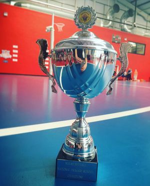 Image post by @walesnetball_ on Instagram