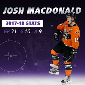 Image post by @readingroyals on Instagram