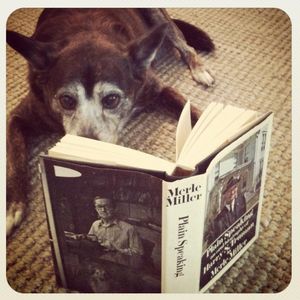 Image post by @stjohnscountylibrary on Instagram