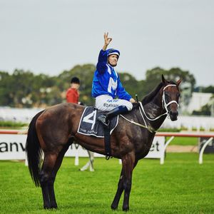Image post by @australianturfclub on Instagram