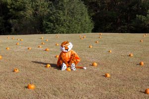 Image post by @aubiethetiger01 on Instagram