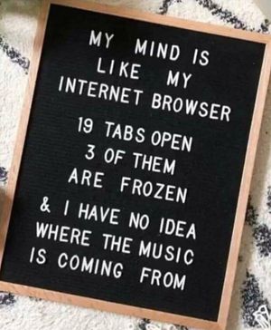 Image post by @highchienergy on Instagram