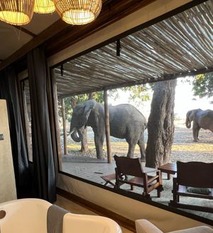 Image post by @chiawasafaris on Instagram