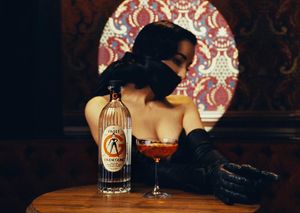 Image post by @ditavonteese on Instagram