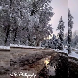 Image post by @c91photography on Instagram
