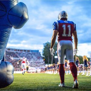 Image post by @mtlalouettes on Instagram