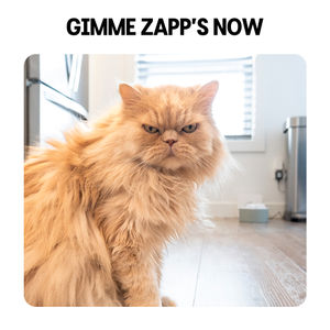 Image post by @realzappschips on Instagram