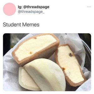 Image post by @the.virtual.bitch on Instagram