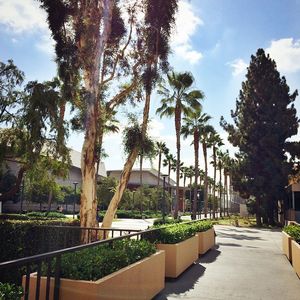 Image post by @asicsuf on Instagram