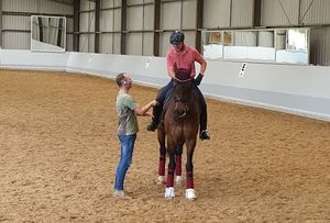 Image post by @performancesaddlefitssthsydney on Instagram