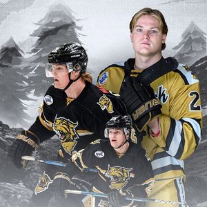 Image post by @bismarckbobcats on Instagram