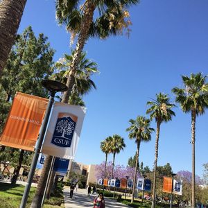 Image post by @asicsuf on Instagram