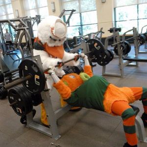 Image post by @um_sebastian on Instagram