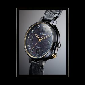 Image post by @citizenwatchus on Instagram
