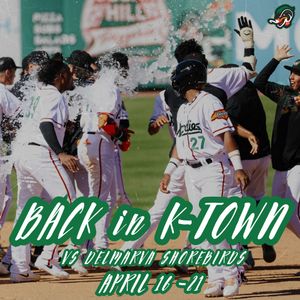 Image post by @gowoodducks on Instagram