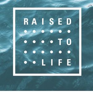 Image post by @bayhopestudents on Instagram
